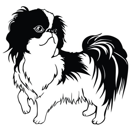 SIGNMISSION Japanese Chin Dog Decal, Dog Lover Decor Vinyl Sticker D-12-Japanese Chin